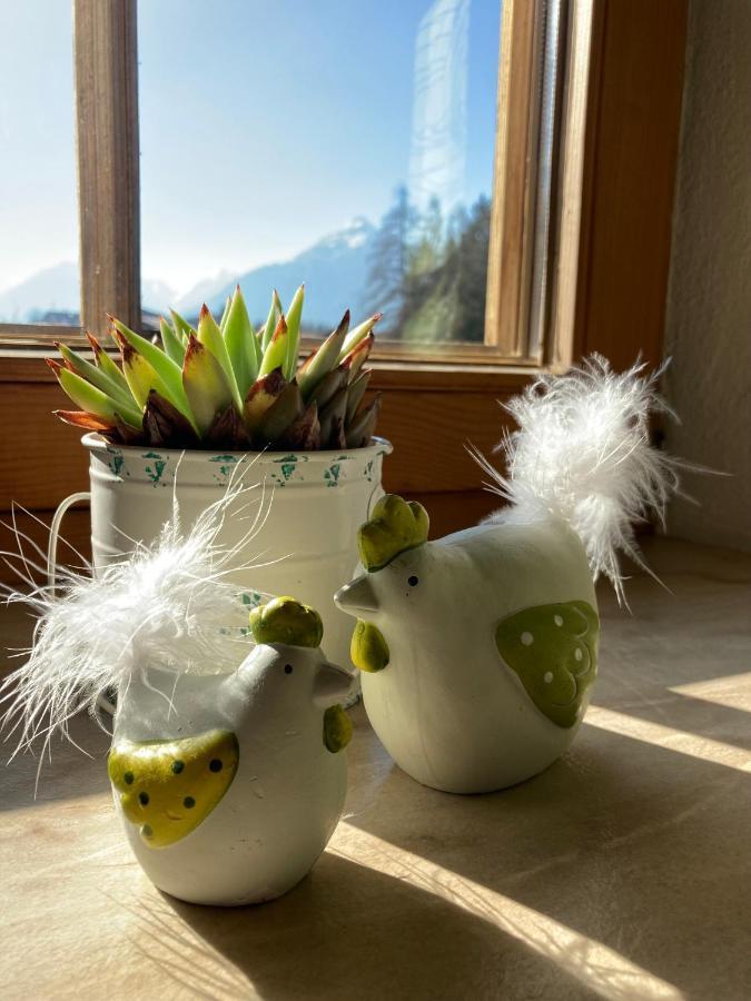 Ferienwohnung Seppen Reith im Alpbachtal Bagian luar foto